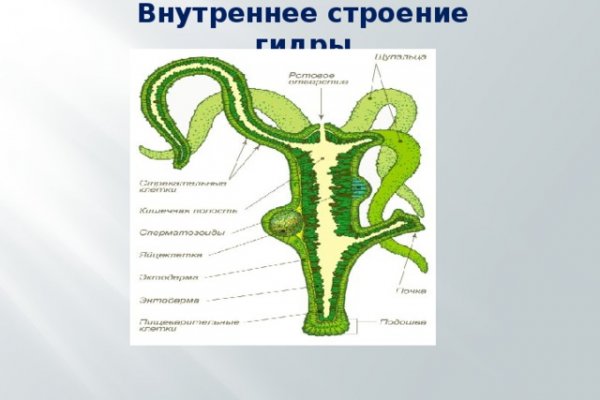 Mega darknet в телеграм